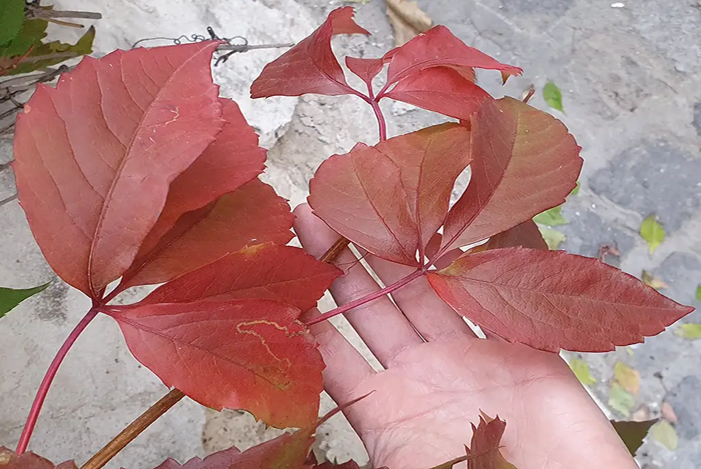 Intuíció és bizalom az anyaságban